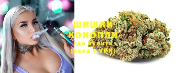ПСИЛОЦИБИНОВЫЕ ГРИБЫ Инсар