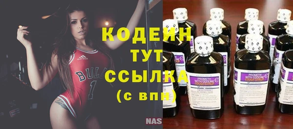 ПСИЛОЦИБИНОВЫЕ ГРИБЫ Инсар