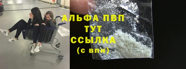 ПСИЛОЦИБИНОВЫЕ ГРИБЫ Инсар
