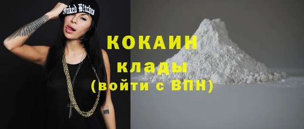 ПСИЛОЦИБИНОВЫЕ ГРИБЫ Инсар