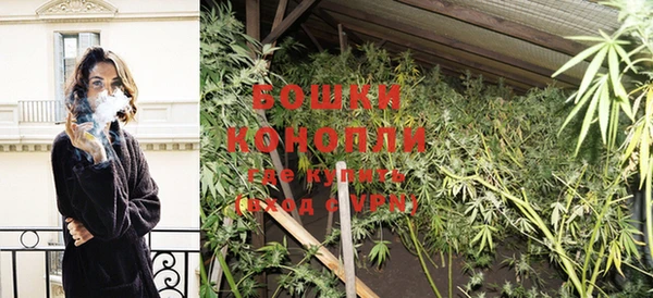 не бодяженный Иннополис