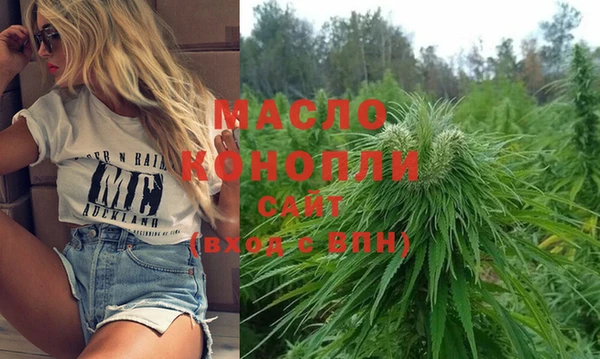ПСИЛОЦИБИНОВЫЕ ГРИБЫ Инсар