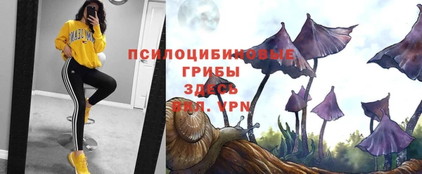 бутират Инта
