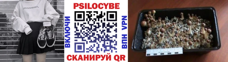 Купить закладки  Усть-Джегута  Галлюциногенные грибы прущие грибы 