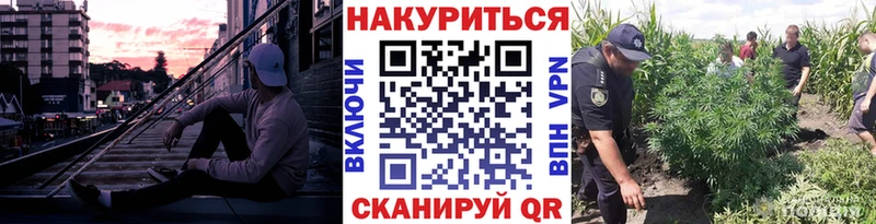 Купить  Усть-Джегута  МАРИХУАНА сатива 